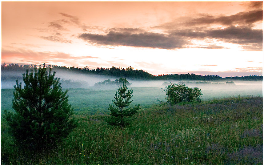 photo "Morning fog" tags: landscape, summer, sunset