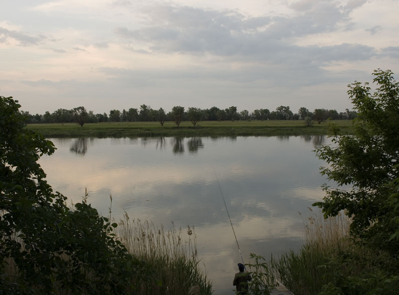photo "On the Don river" tags: landscape, summer