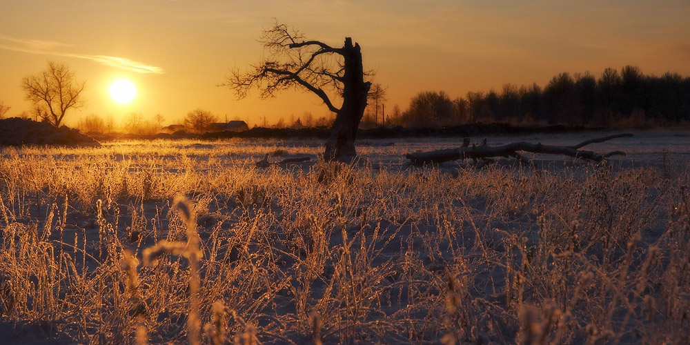 photo "***" tags: landscape, winter