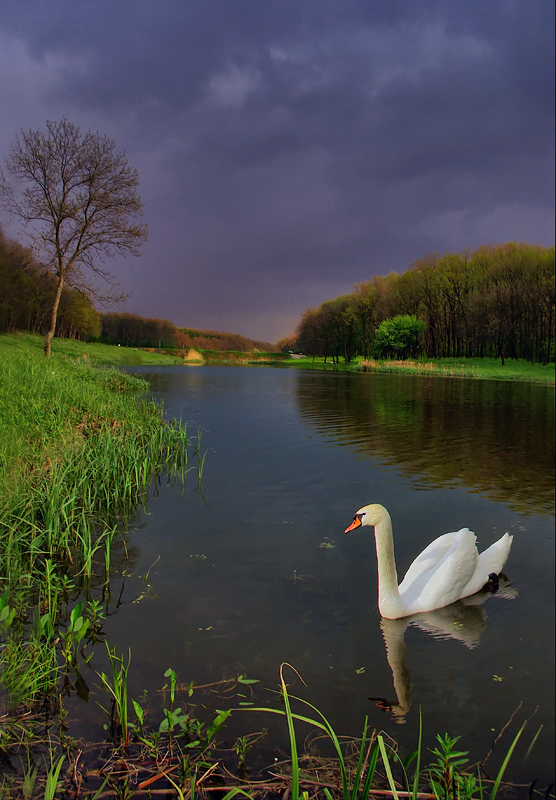 photo "***" tags: landscape, summer