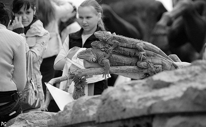 фото "теплее." метки: природа, 