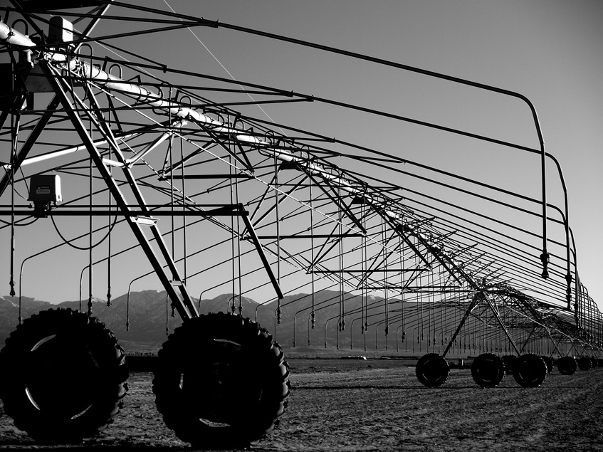 photo "Agriculture" tags: abstract, black&white, 