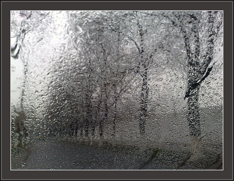 photo "Rain" tags: landscape, spring