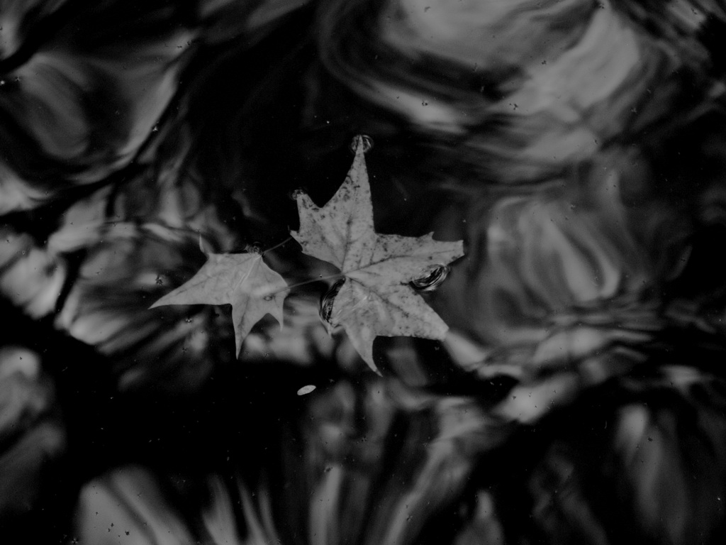 фото "***" метки: природа, 
