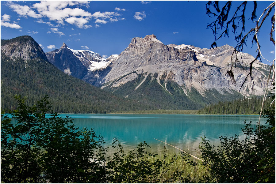 photo "Looking out of the bush" tags: landscape, mountains, water