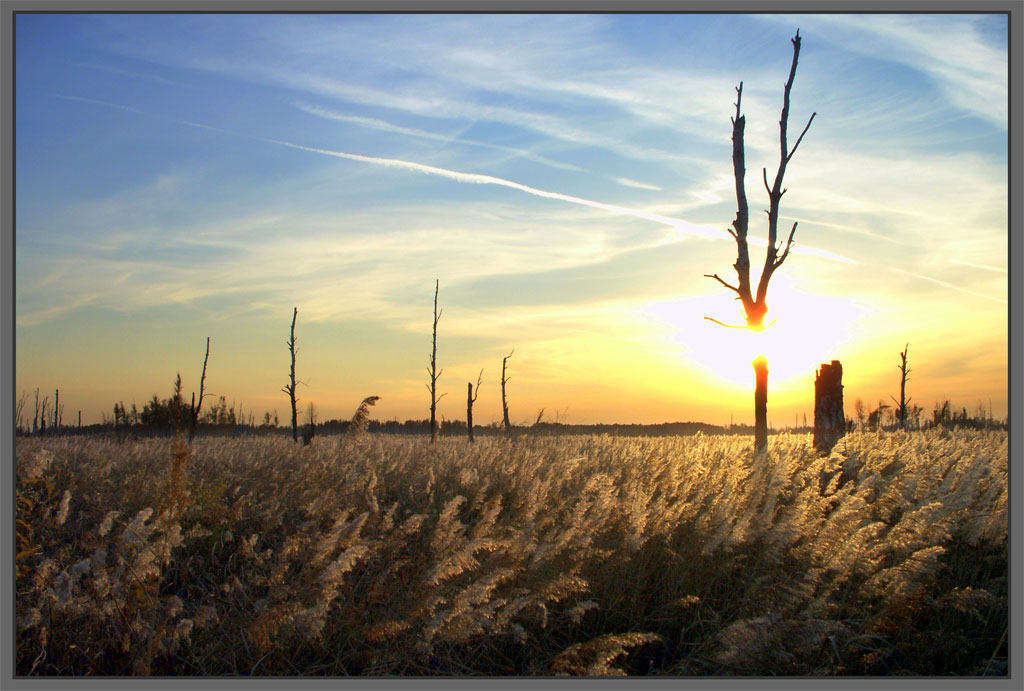 photo "Dead" tags: landscape, autumn, sunset