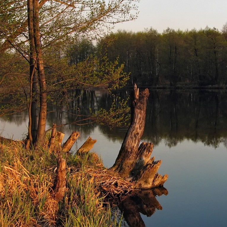 photo "***" tags: landscape, spring, water