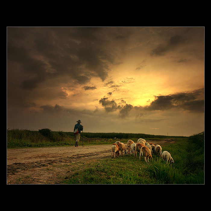 photo "Shepherd" tags: landscape, portrait, 