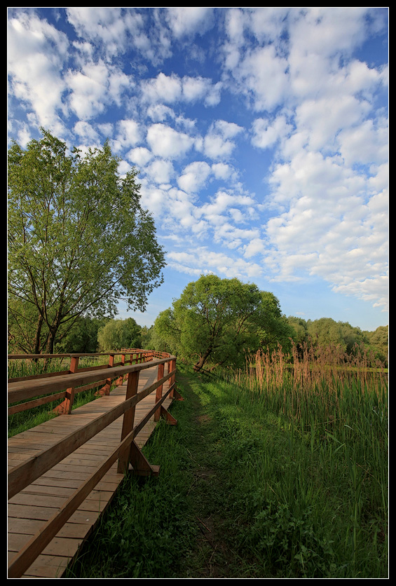 photo "Bridge" tags: landscape, clouds, spring