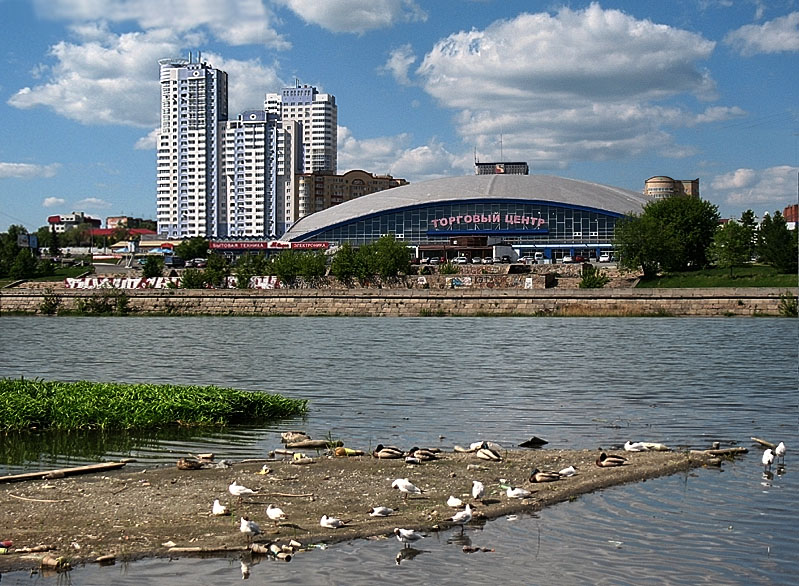 photo "Bird Island" tags: city, 