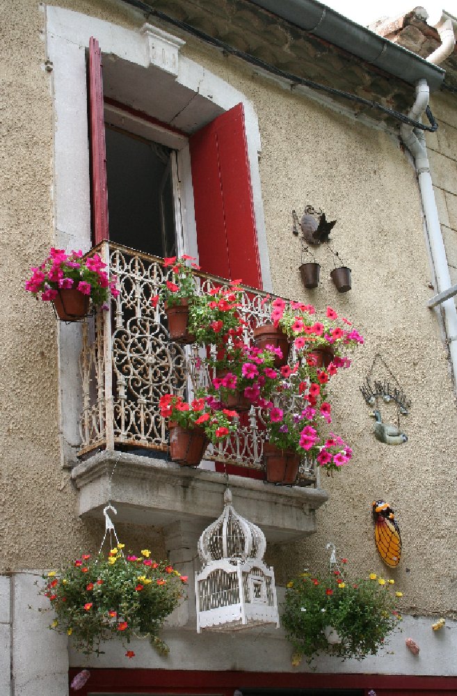 photo "window of France" tags: nature, flowers