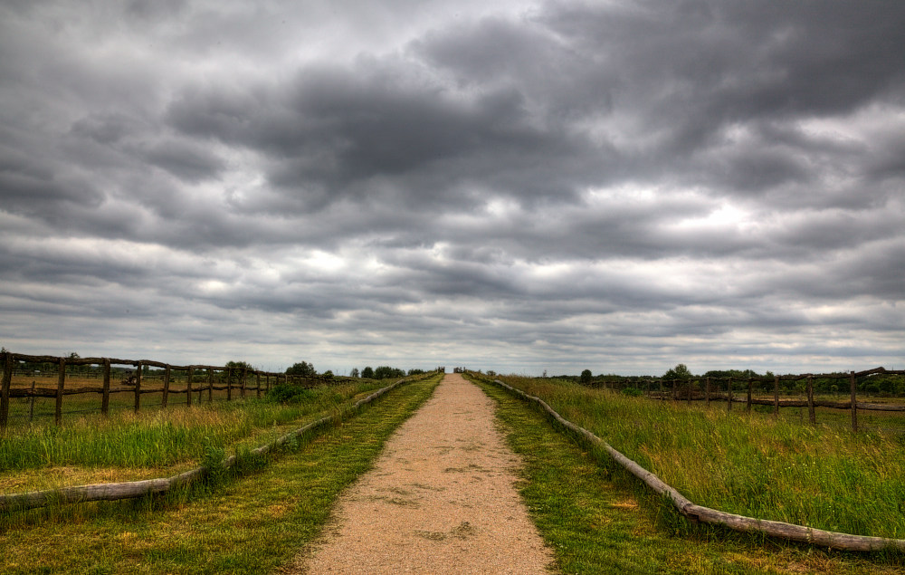 фото "moorland" метки: , 