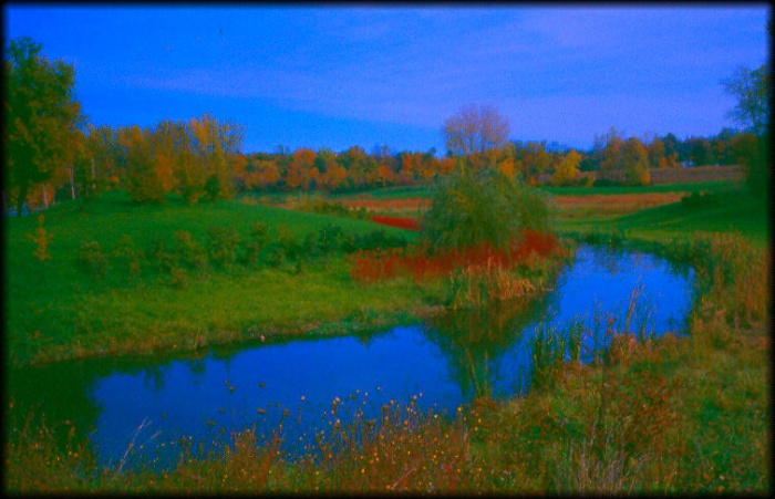 photo "Field And Stream" tags: landscape, autumn, water