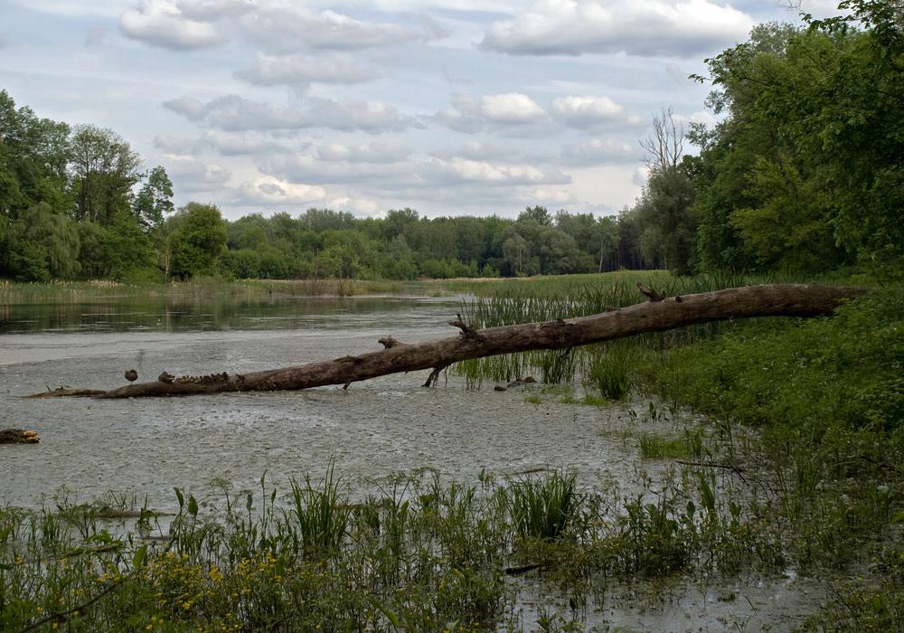 photo "***" tags: landscape, nature, water