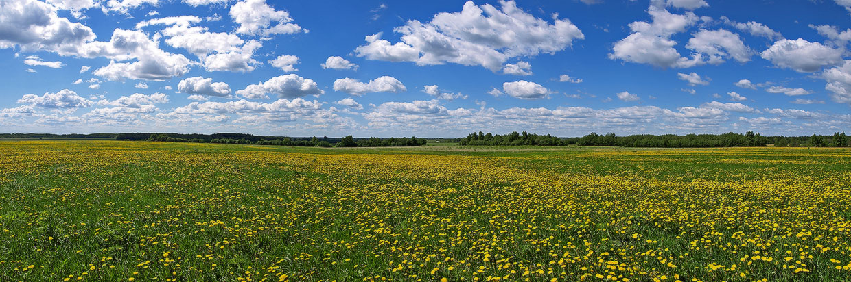 photo "***" tags: landscape, spring