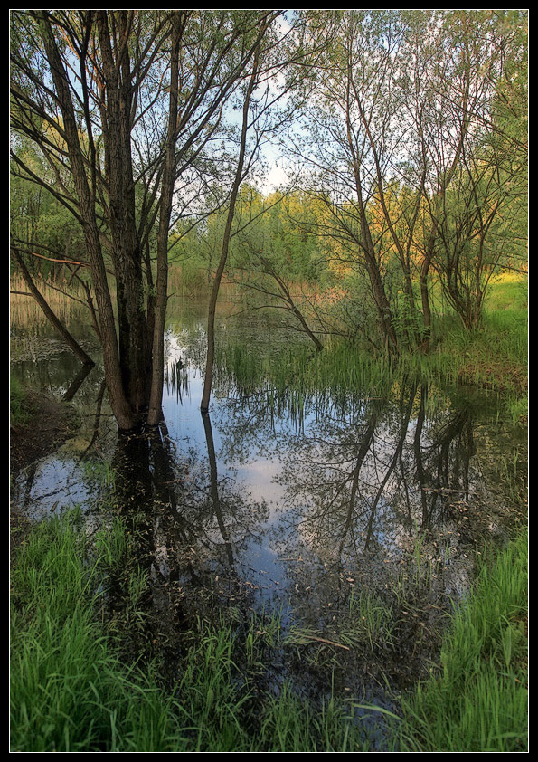 фото "утонуть в весне" метки: пейзаж, весна, вода