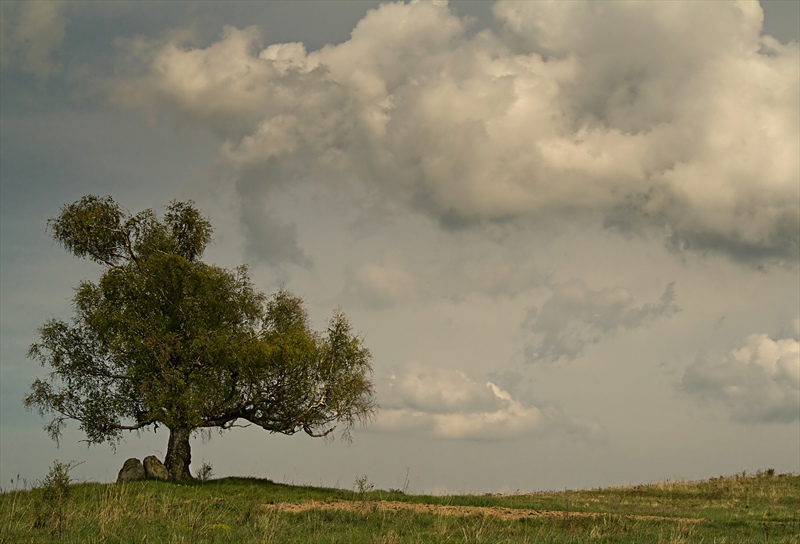 photo "***" tags: landscape, 