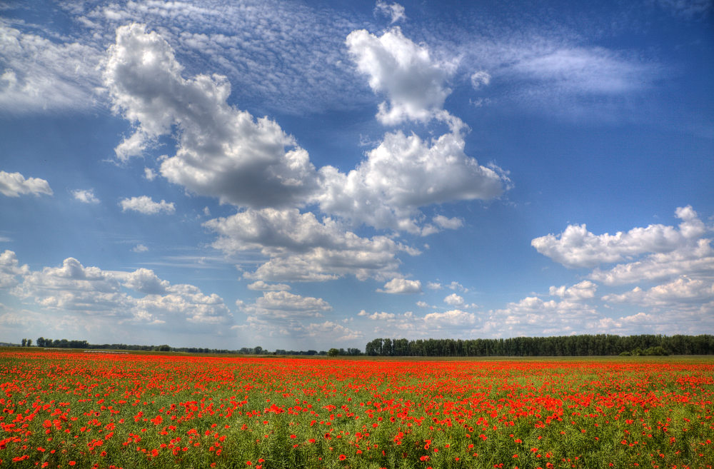 photo "moon" tags: landscape, clouds, spring