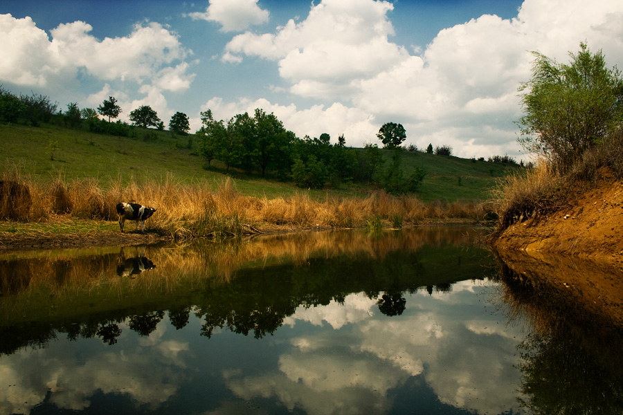 фото "calm" метки: пейзаж, вода