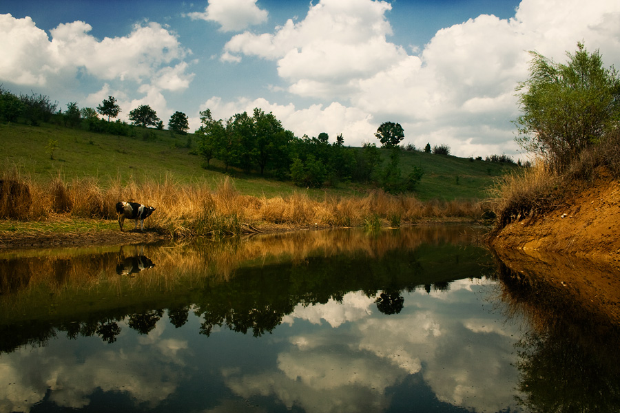 photo "calm" tags: landscape, water