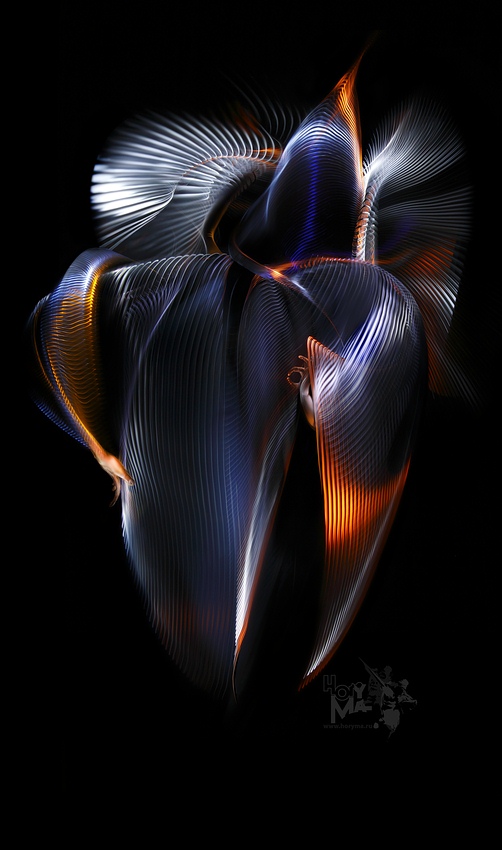 photo "Still slightly!" tags: abstract, digital art, 