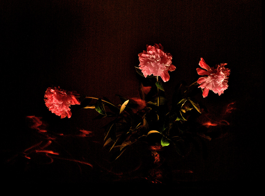 photo "***" tags: still life, 