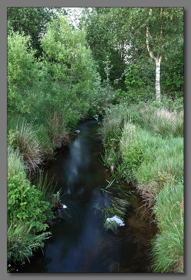фото "Ручеек" метки: пейзаж, вода, лес