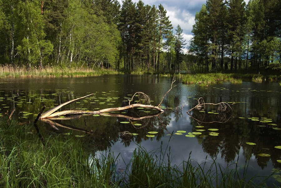 фото "*****" метки: пейзаж, весна, вода