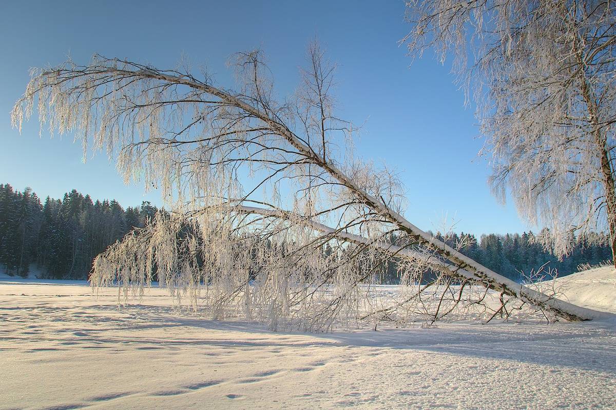 photo "***" tags: landscape, winter