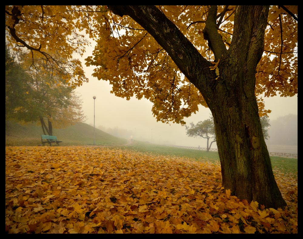 photo "***" tags: landscape, autumn