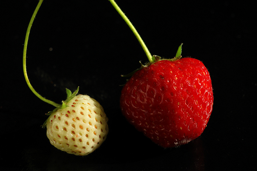 photo "Земляника" tags: still life, macro and close-up, 