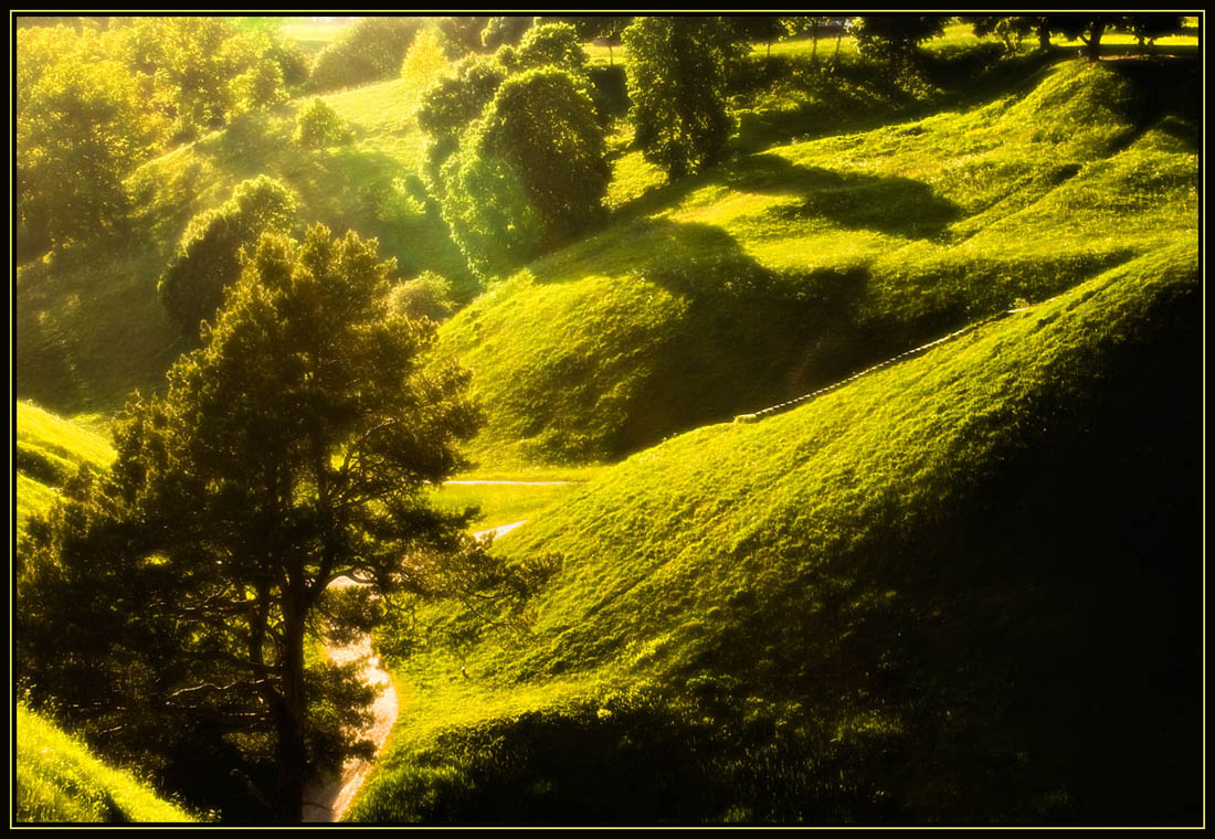 фото "Зеленая сказка" метки: пейзаж, лето