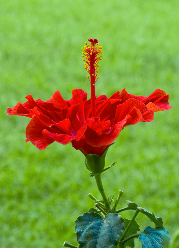 photo "DSC_3189" tags: , 