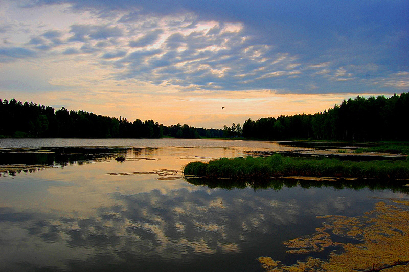 фото "Рассвет начала лета" метки: пейзаж, вода, закат
