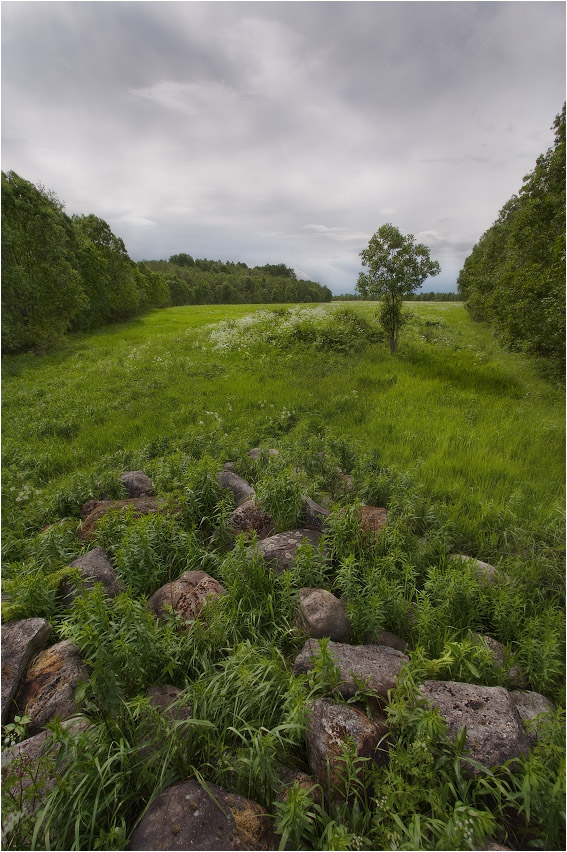 photo "***" tags: landscape, clouds, forest