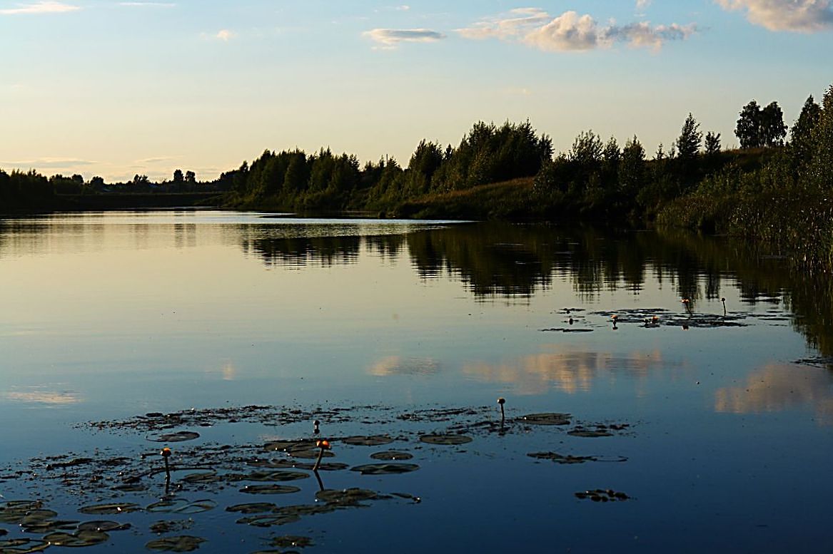 фото "Кувшинки" метки: пейзаж, вода