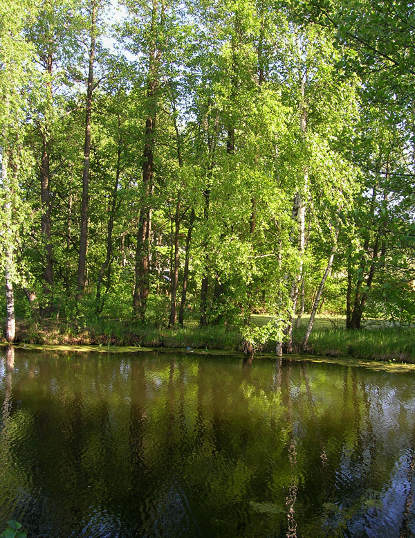 фото "Ветерок" метки: пейзаж, лето