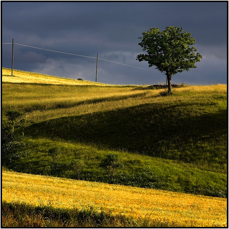 фото "Summer" метки: пейзаж, лето