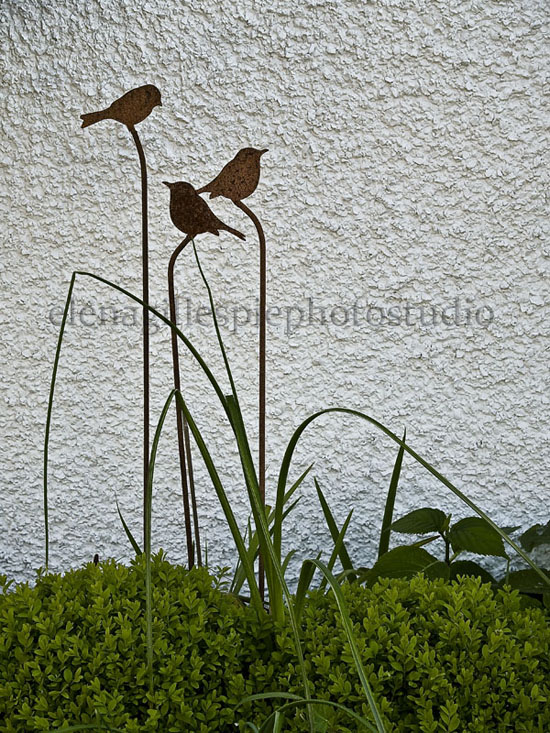 photo "***" tags: misc., 