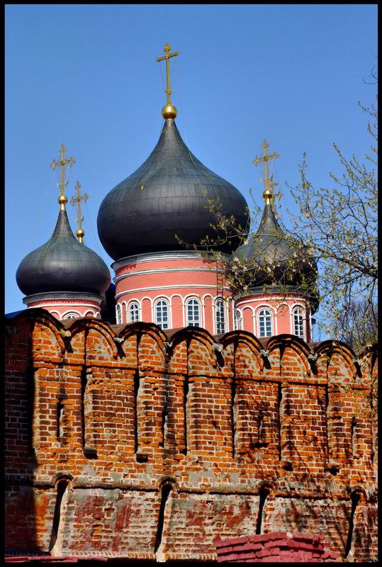 фото "Донской монастырь" метки: архитектура, пейзаж, 