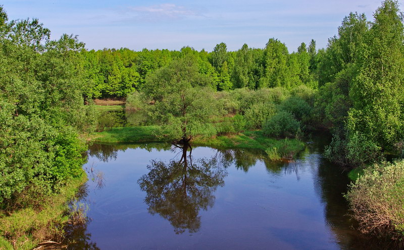 фото "Одиноко смотрясь..." метки: пейзаж, вода, лес