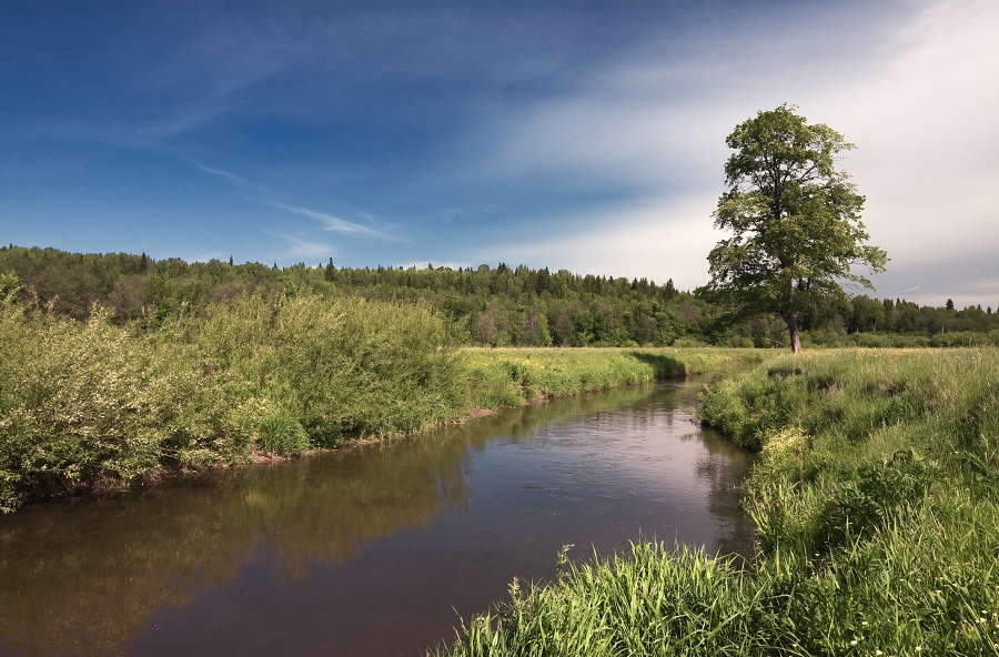 photo "***" tags: landscape, summer