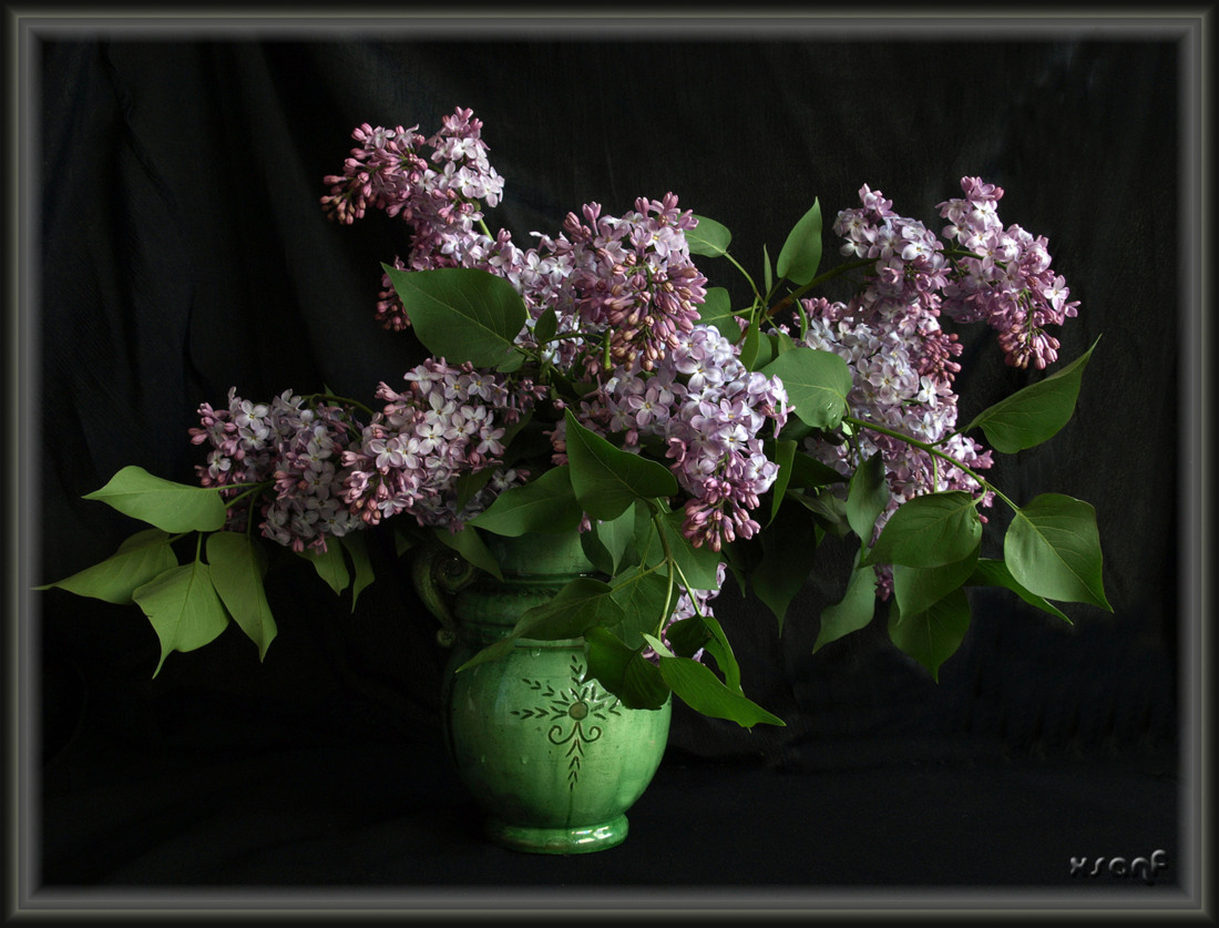 photo "***" tags: still life, 