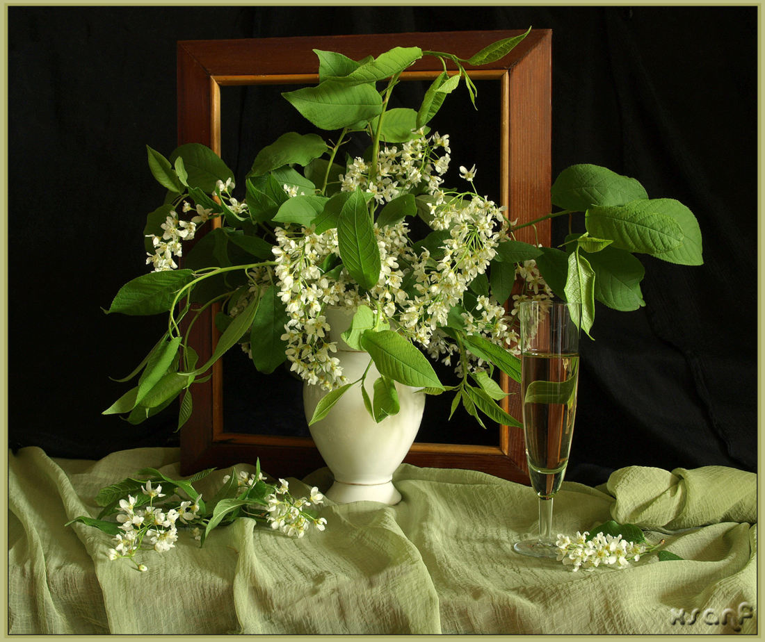 photo "***" tags: still life, 