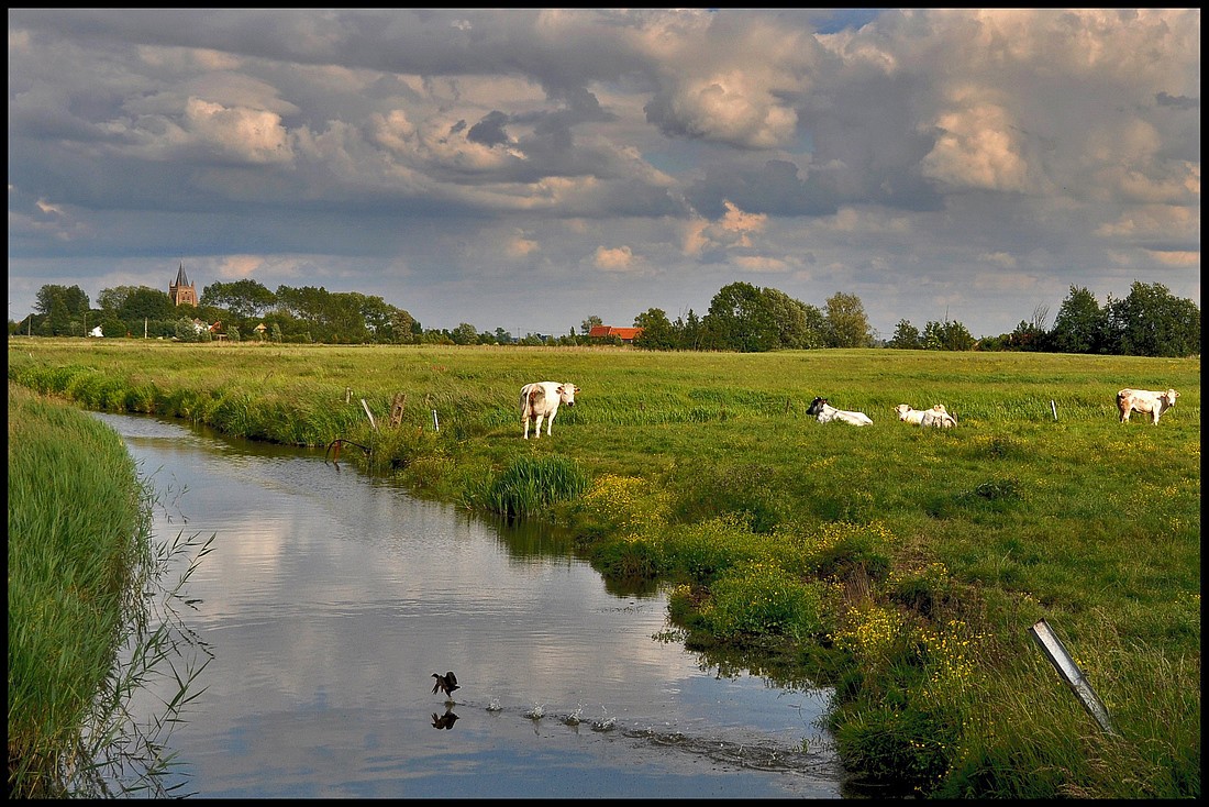 фото "***" метки: пейзаж, 