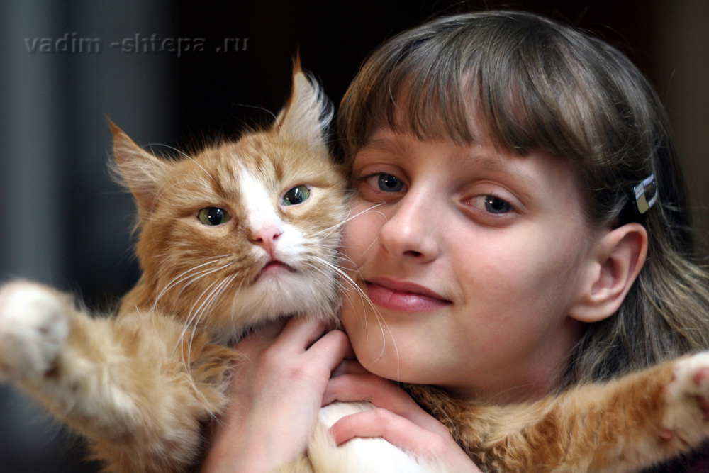 фото "девочка и кот" метки: портрет, 