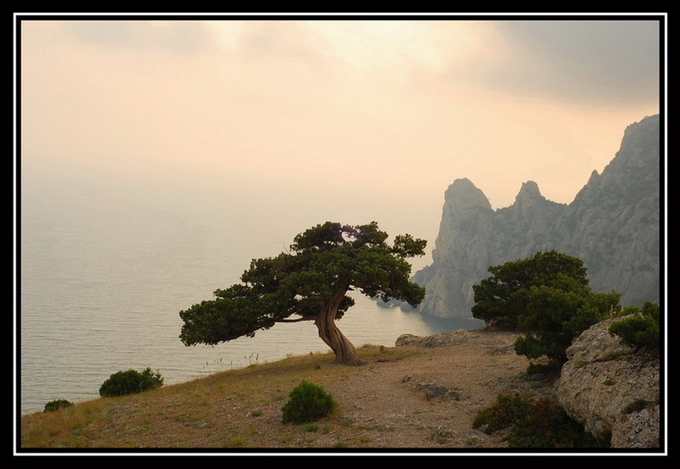 photo "***" tags: landscape, forest, mountains