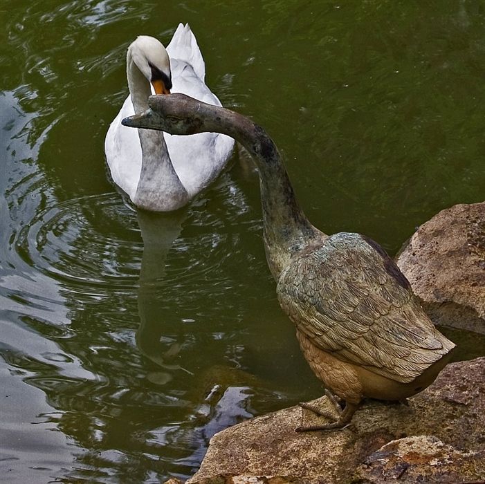 photo "***" tags: nature, wild animals