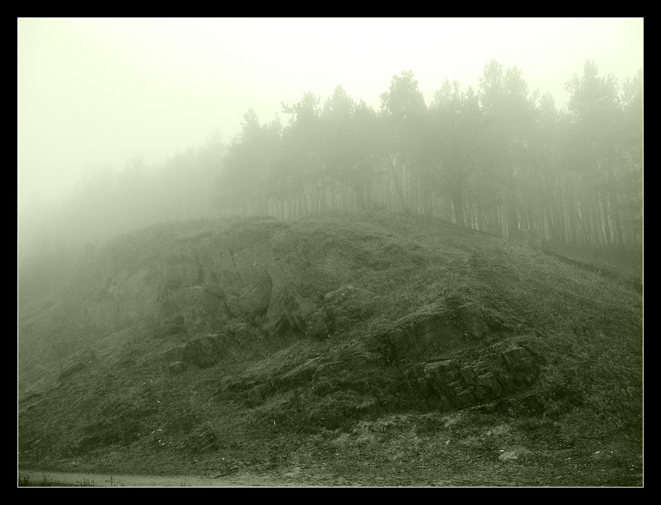 photo "***" tags: landscape, black&white, forest