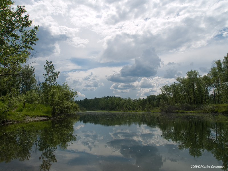 photo "После дождя" tags: landscape, summer